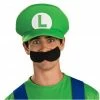 Rubies Hats Adult Luigi Costume Hat 2 Rubies Hats Adult Luigi Costume Hat