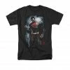 Trevco Shirts / Tops DC Comics Superman Light Of The Sun T-Shirt